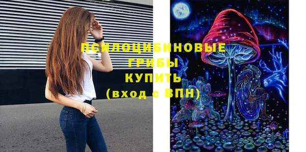 прущие крисы Новодвинск
