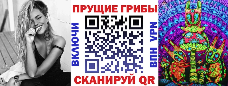 Псилоцибиновые грибы Psilocybe  купить наркоту  Красноярск 