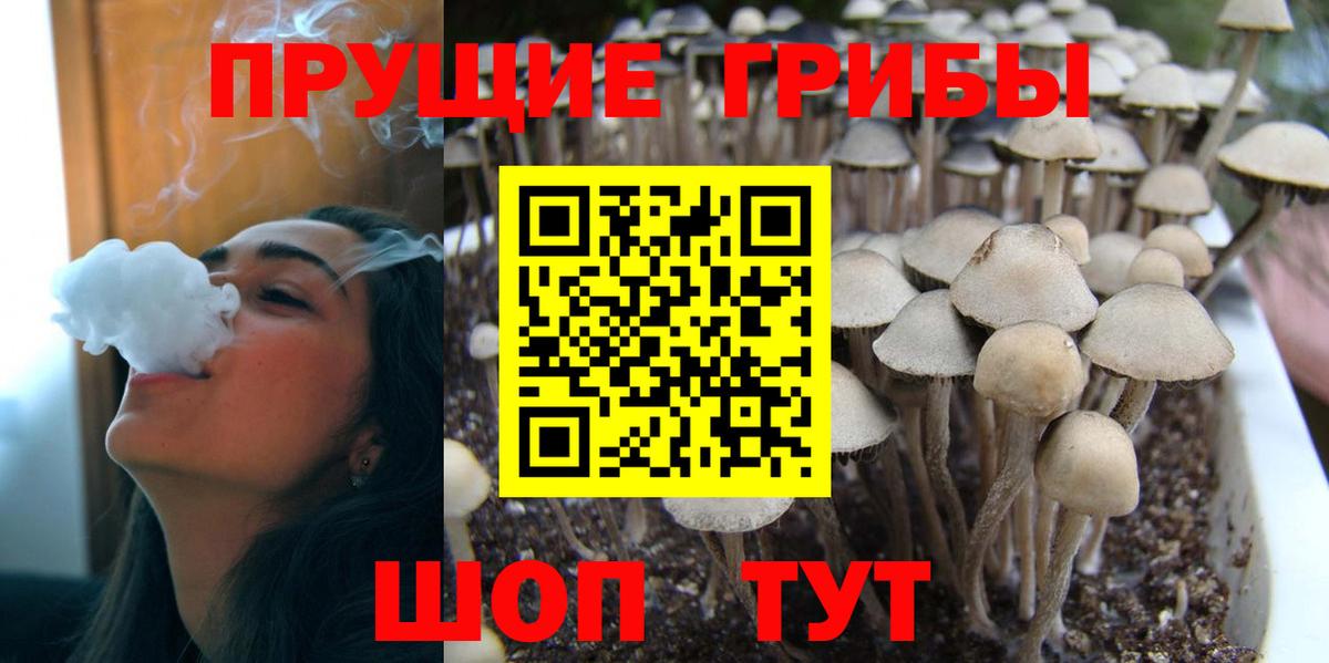 Галлюциногенные грибы Psilocybe  Галлюциногенные грибы Magic Shrooms  Вход с VPN  Красноярск 
